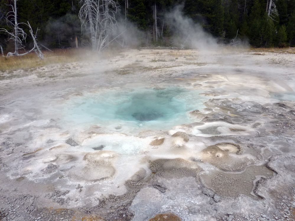 Yellowstone Old faithfull et ses environs (121).JPG
